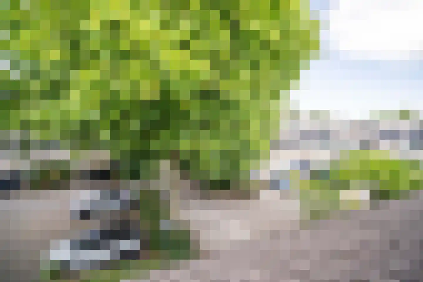 Kromstevenwerf 7 Leiden thumbnail 20