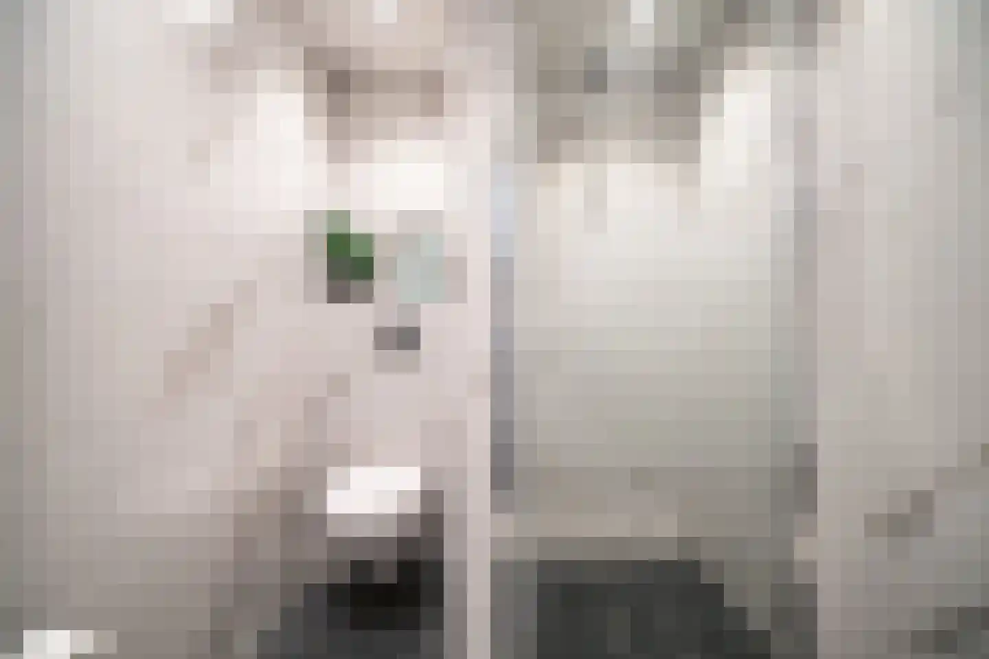 Kromstevenwerf 7 Leiden thumbnail 56