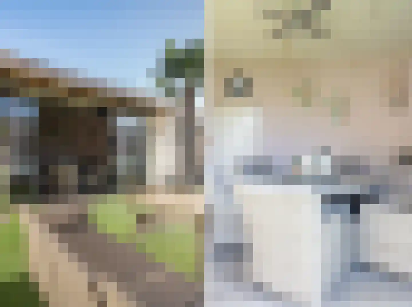 Kromstraat 116 Oss thumbnail 25