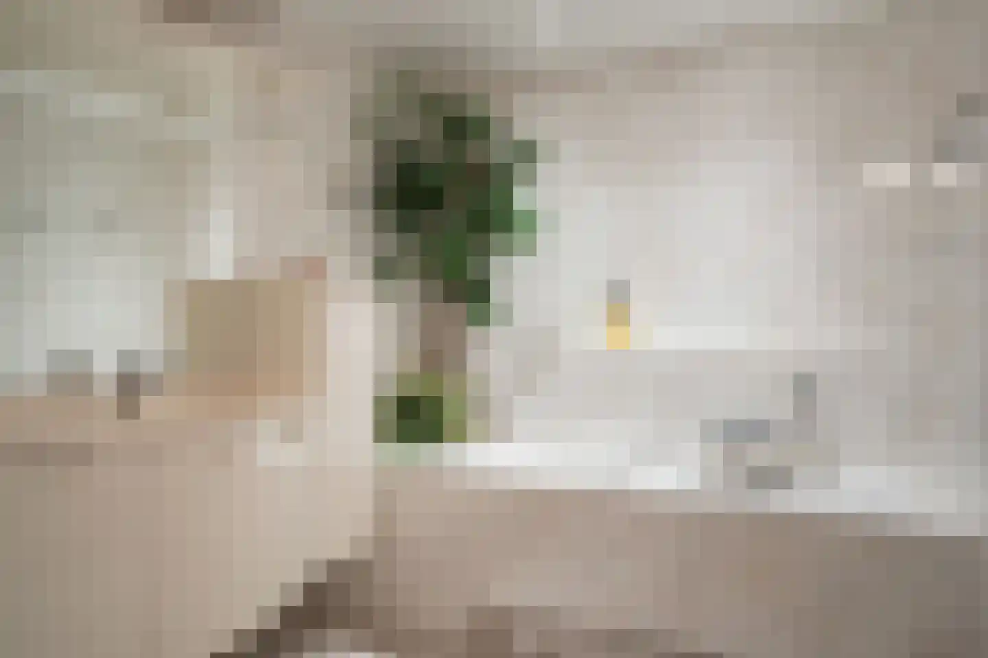 Kromstraat 116 Oss thumbnail 35