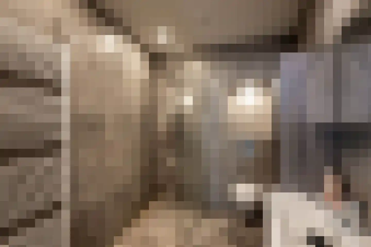 Kromstraat 116 Oss thumbnail 37