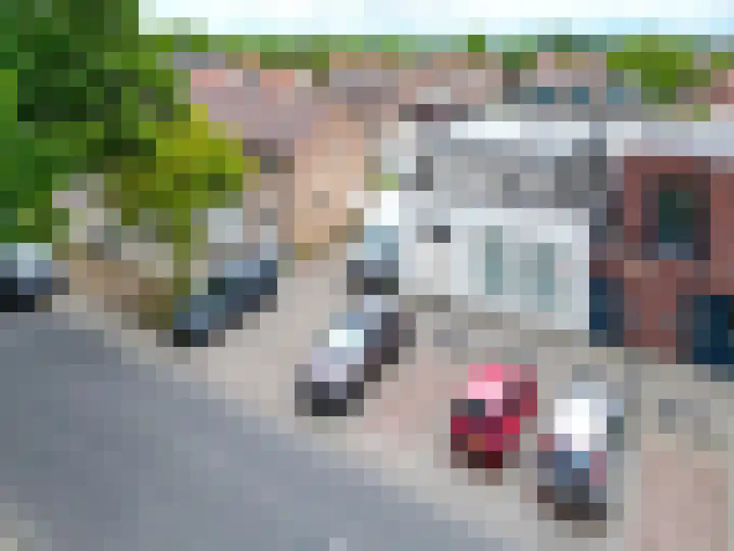 Kromstraat 116 Oss thumbnail 42