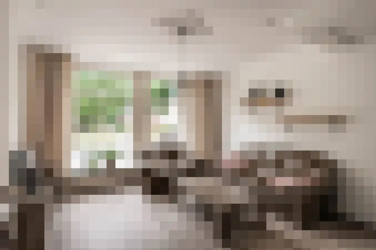 Kromstraat 116 Oss thumbnail 8