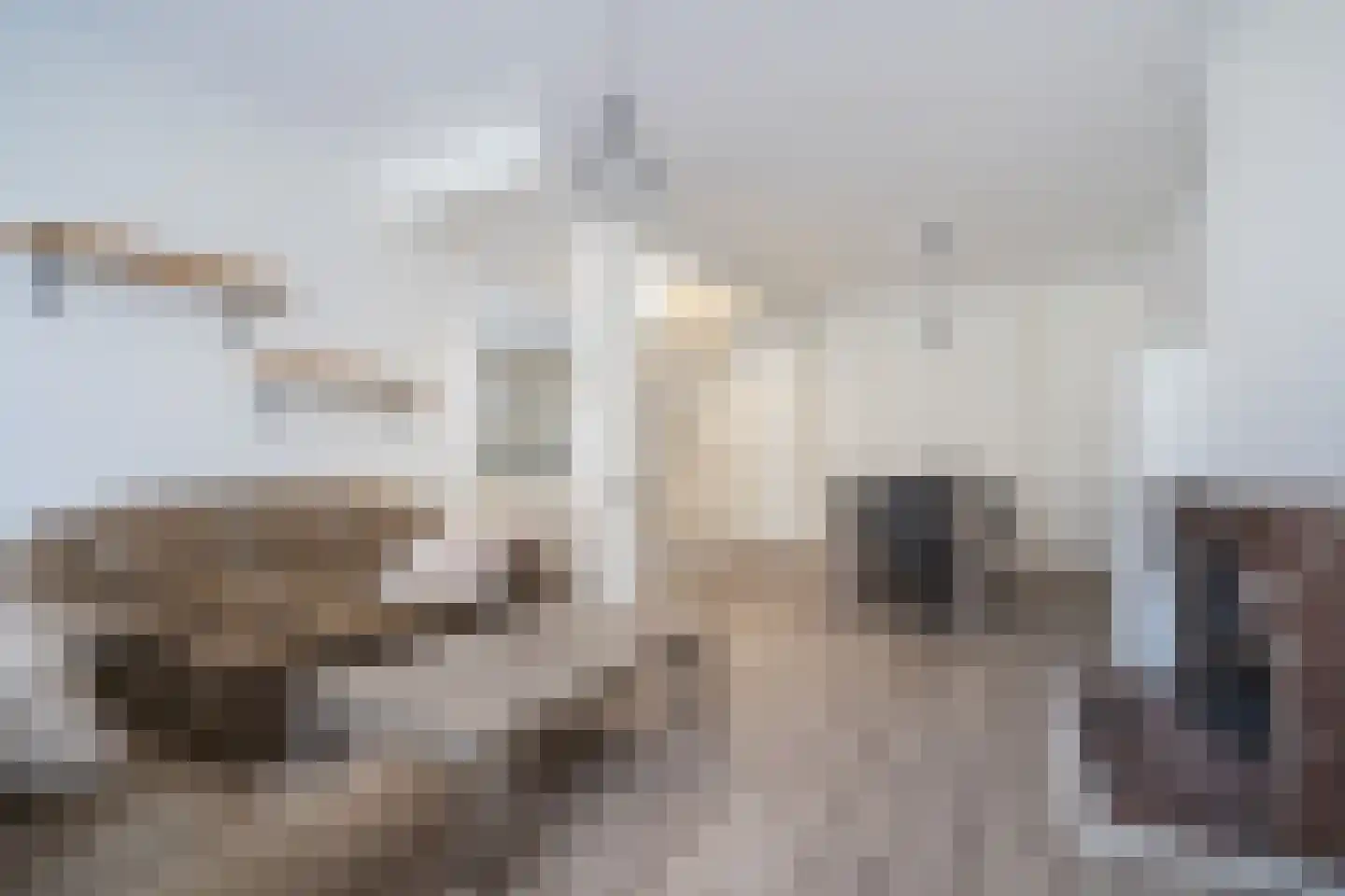 Kromstraat 116 Oss thumbnail 9