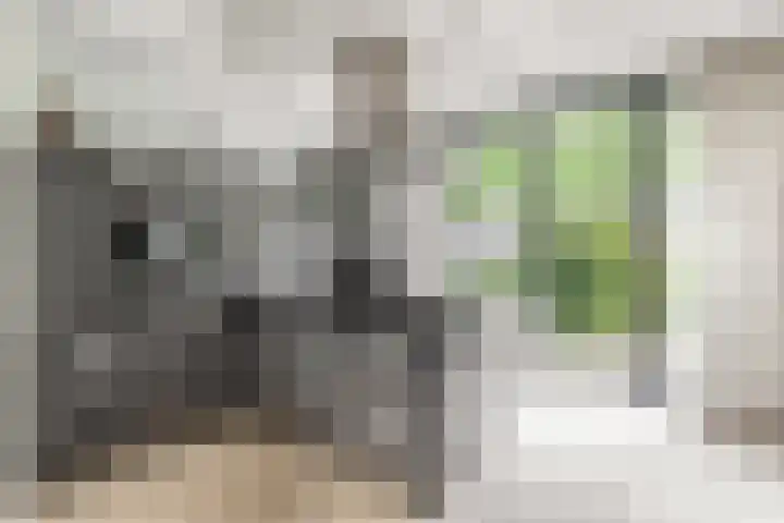 Kromstraat 118 B Oss thumbnail 10