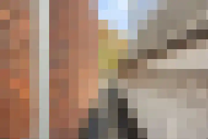 Kromstraat 118 B Oss thumbnail 22