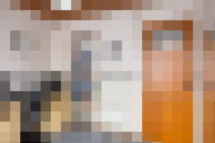 Kromstraat 144 Oss thumbnail 22
