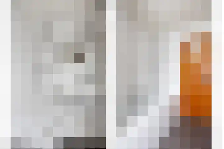 Kromstraat 144 Oss thumbnail 25