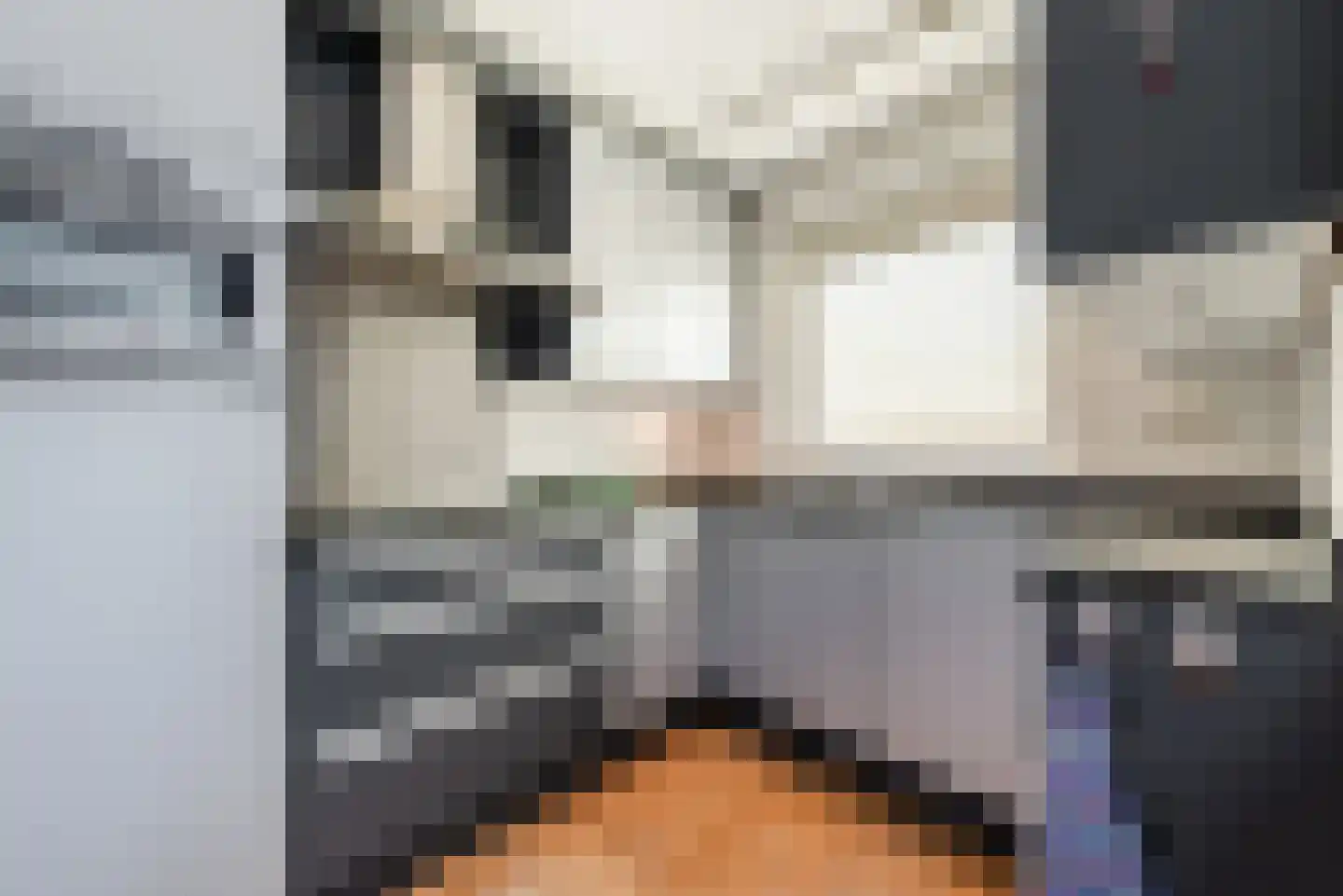 Kromstraat 15 E Veldhoven thumbnail 16