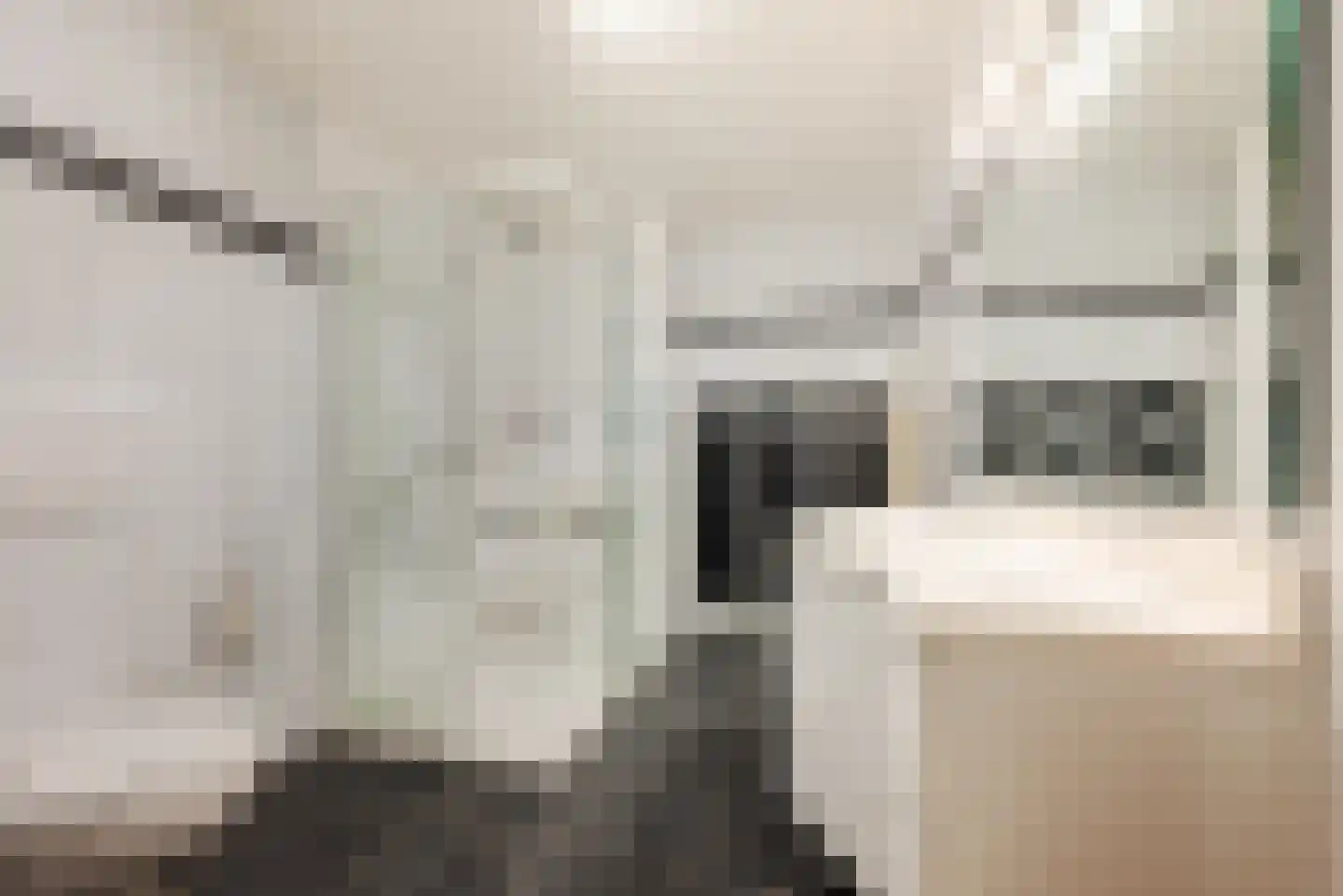 Kromstraat 15 E Veldhoven thumbnail 25