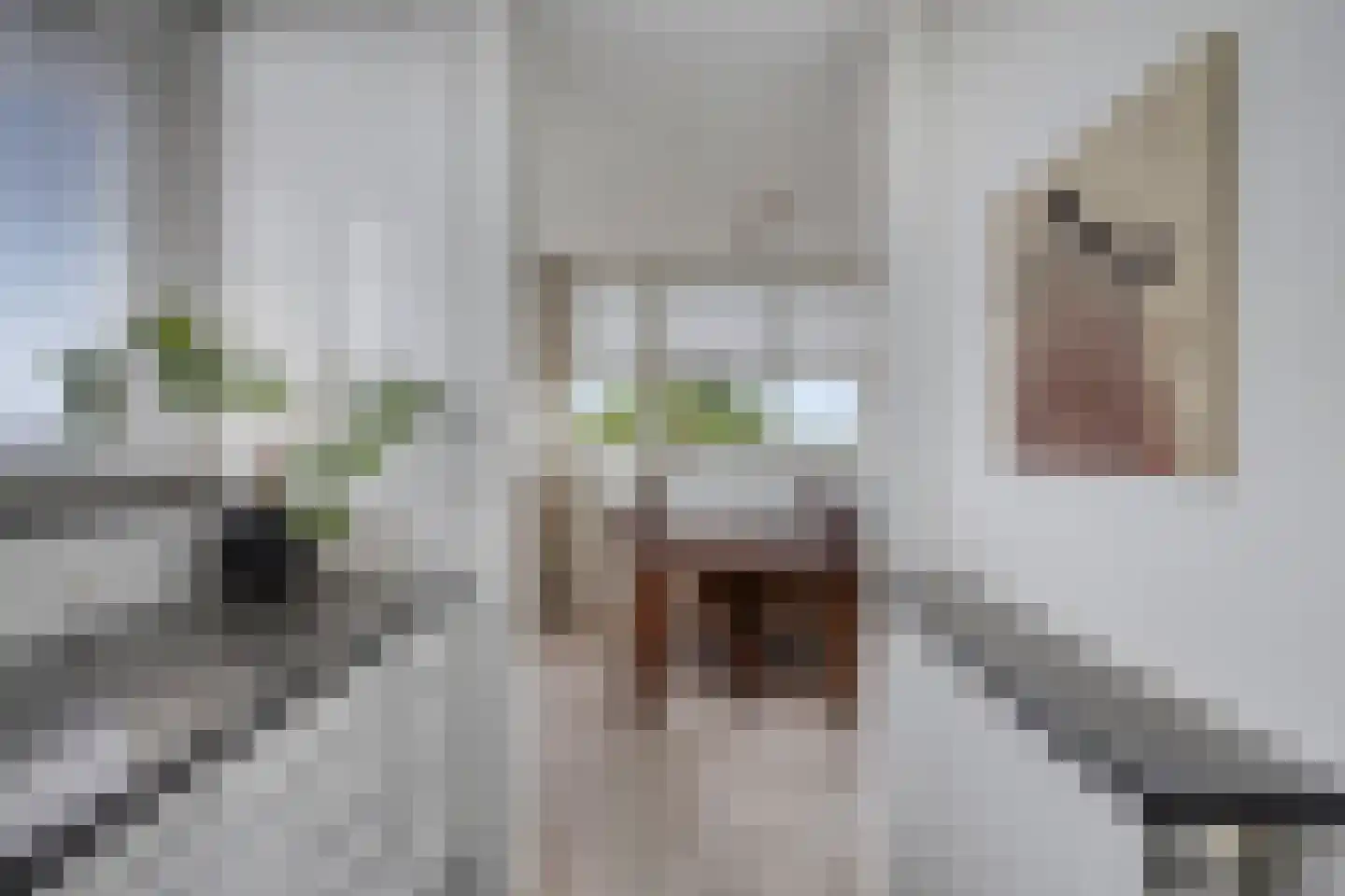 Kromstraat 2 H Oss thumbnail 16