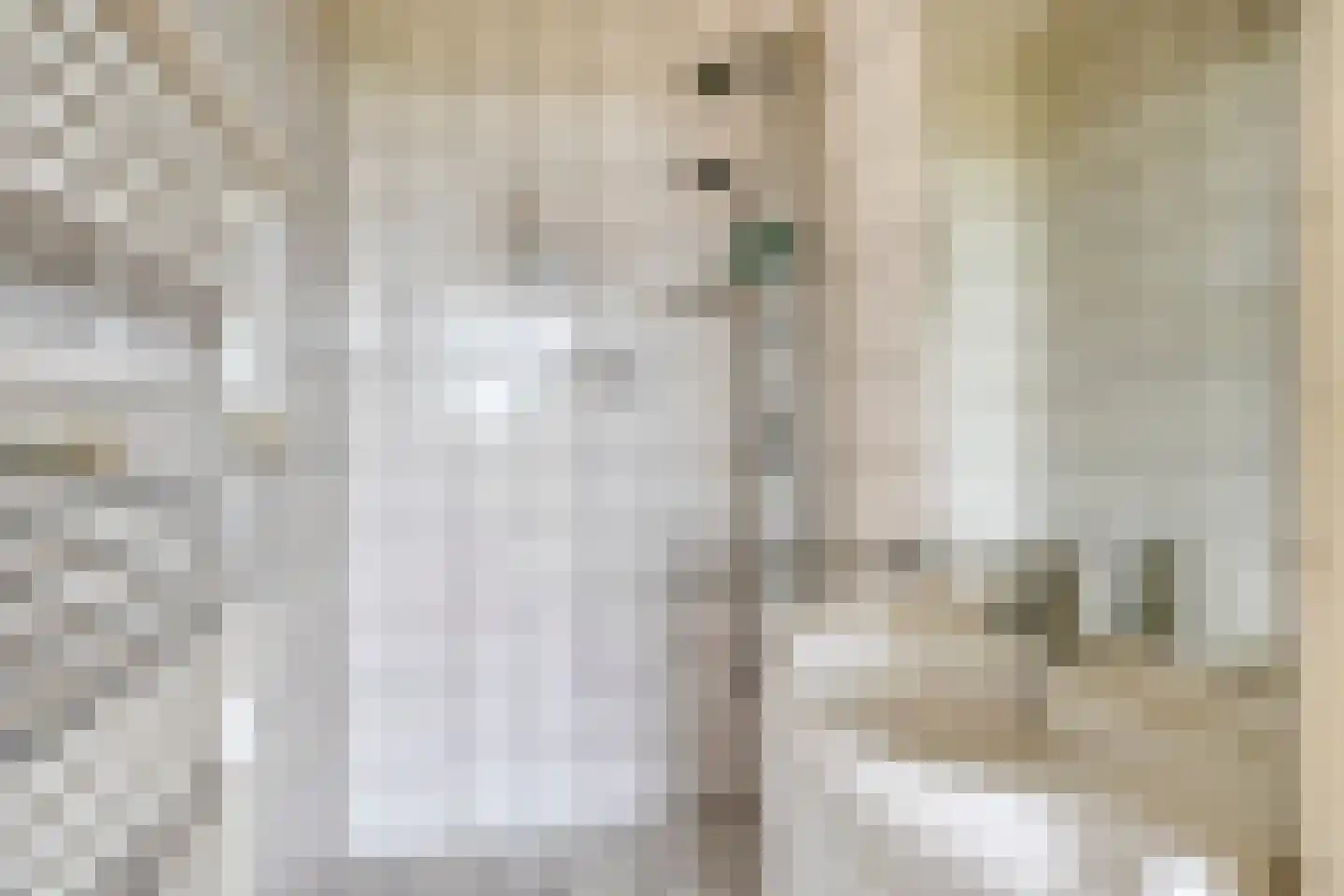 Kromstraat 2 H Oss thumbnail 27