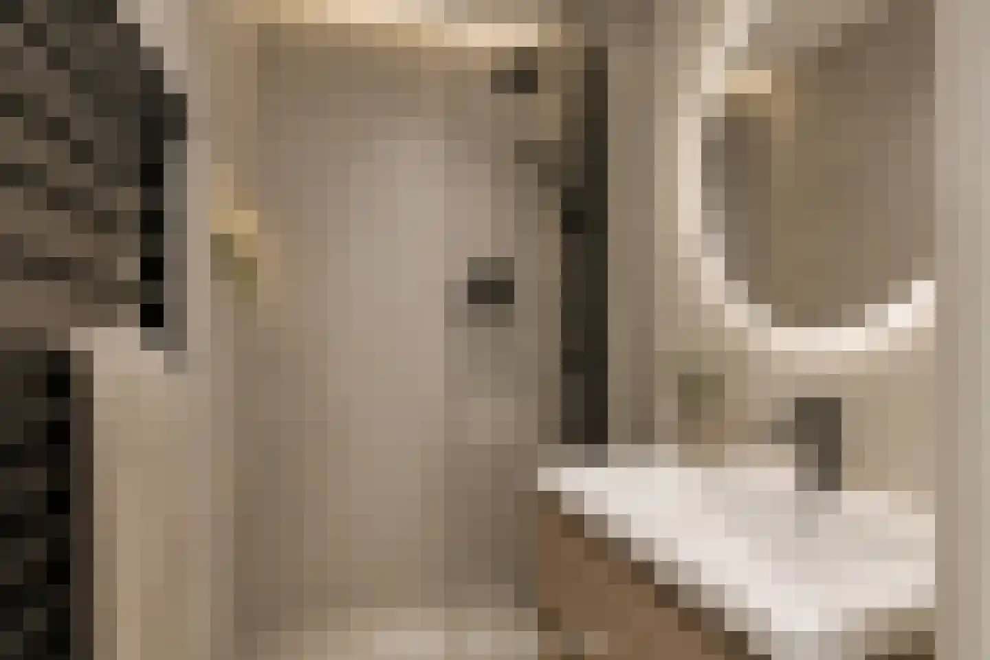 Kromstraat 2 H Oss thumbnail 28