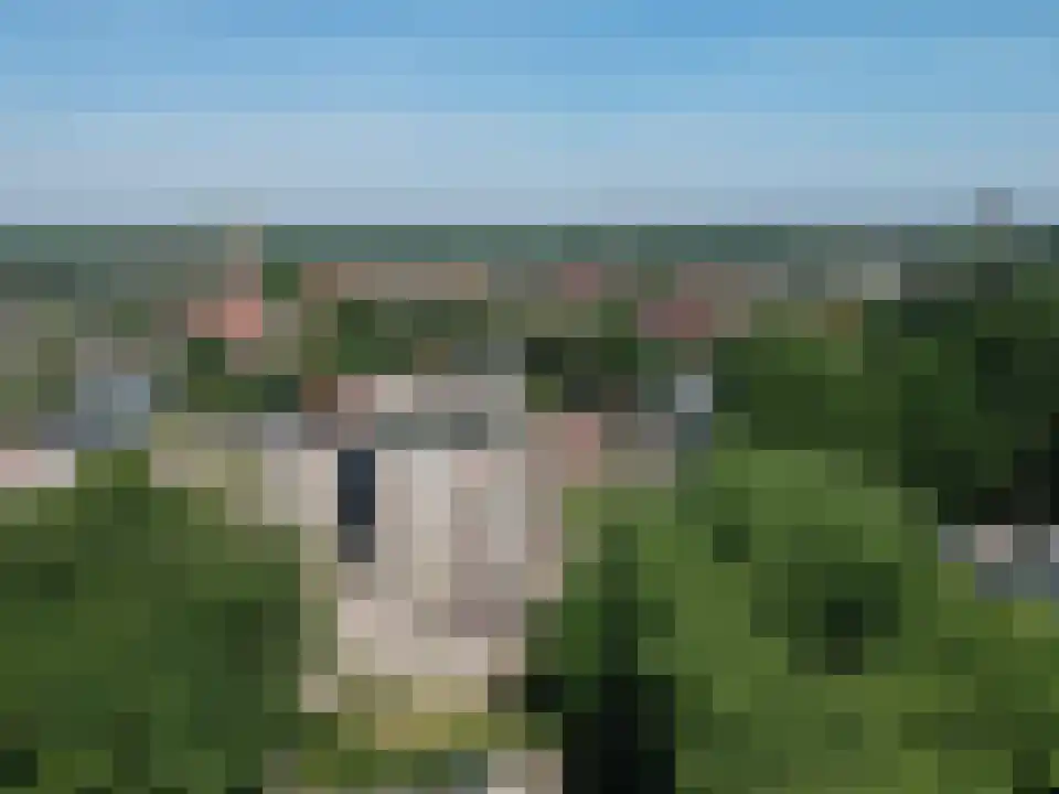 Kromstraat 2 H Oss thumbnail 45