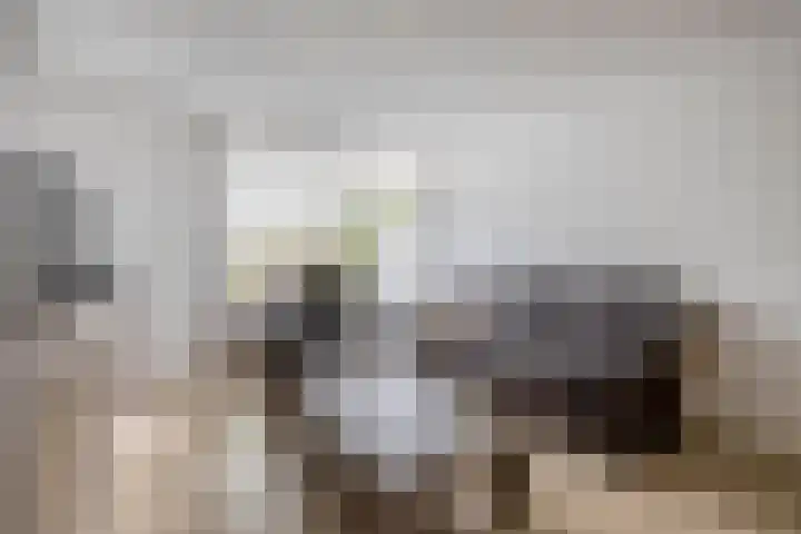 Kromstraat 3 F Veldhoven thumbnail 9