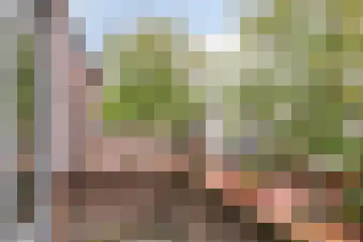 Kromstraat 3 G Veldhoven thumbnail 11