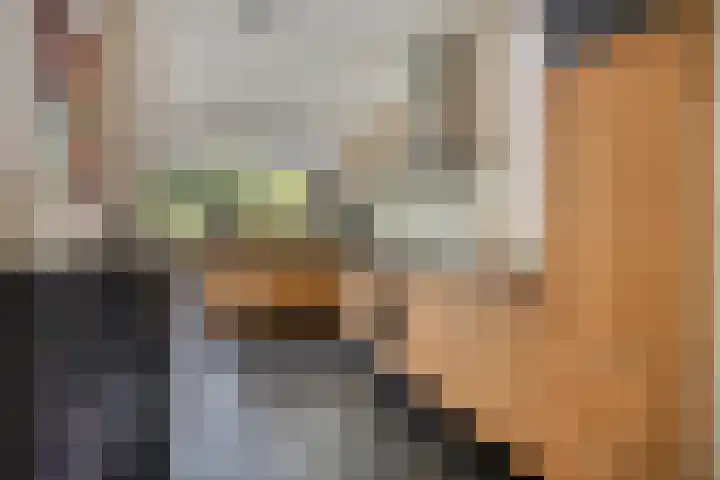 Kromstraat 33 Oss thumbnail 15