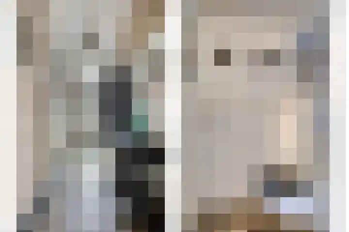 Kromstraat 33 Oss thumbnail 19