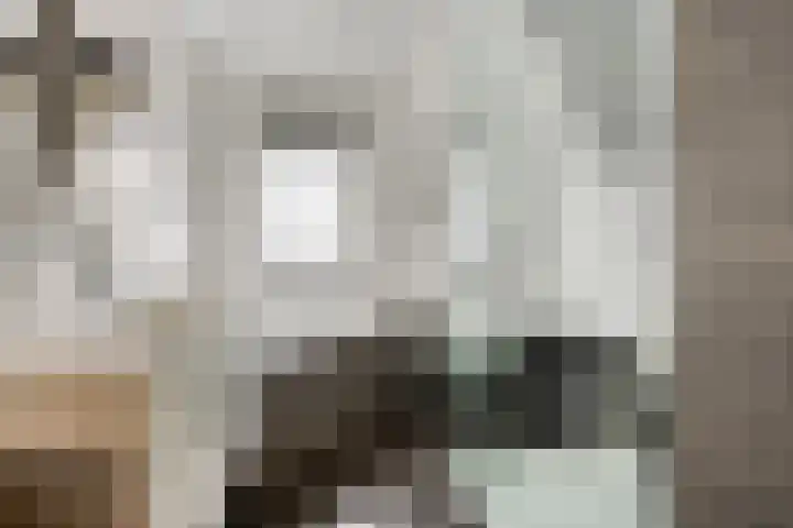 Kromstraat 33 Oss thumbnail 23