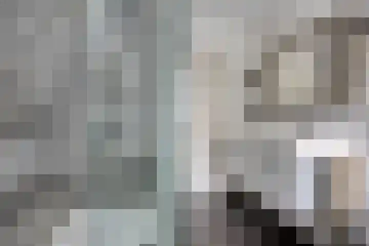 Kromstraat 33 Oss thumbnail 25