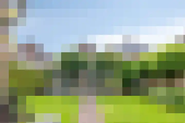 Kromstraat 33 Oss thumbnail 30