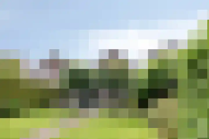 Kromstraat 33 Oss thumbnail 31