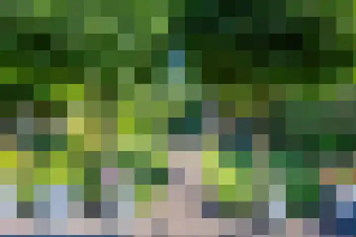 Kromstraat 33 Oss thumbnail 32