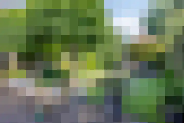 Kromstraat 33 Oss thumbnail 35