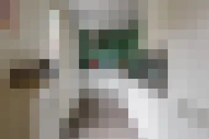Kromstraat 33 Oss thumbnail 40