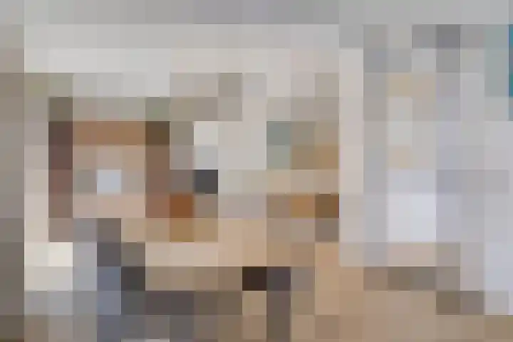 Kromstraat 34 Nistelrode thumbnail 15