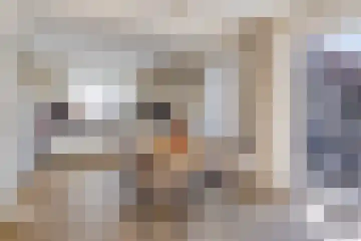 Kromstraat 34 Nistelrode thumbnail 16