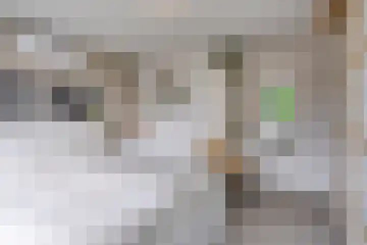 Kromstraat 34 Nistelrode thumbnail 25