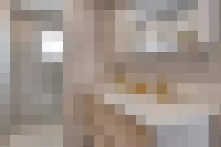 Kromstraat 34 Nistelrode thumbnail 31
