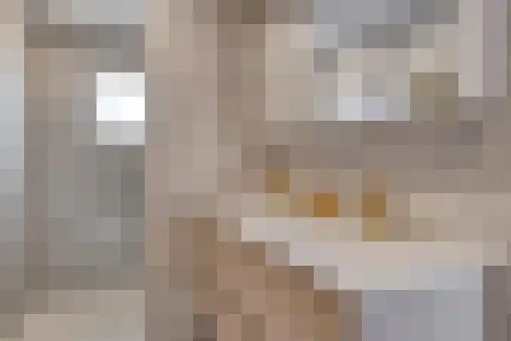 Kromstraat 34 Nistelrode thumbnail 4