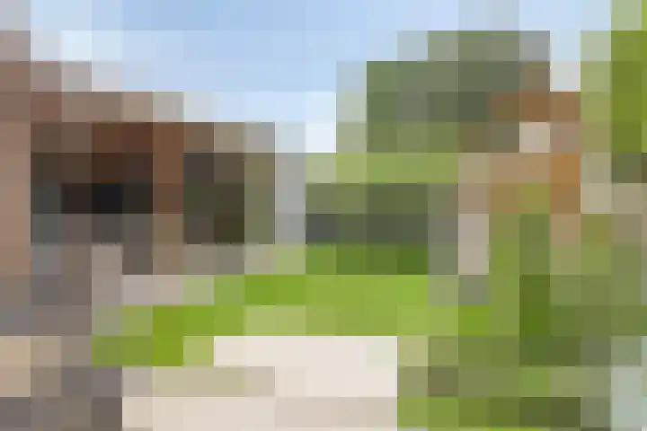 Kromstraat 34 Nistelrode thumbnail 41