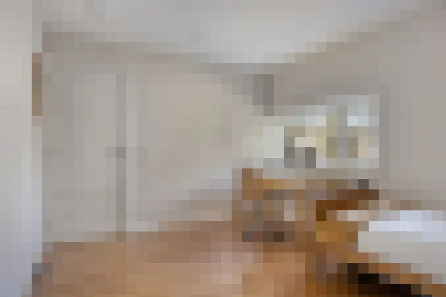 Kromstraat 34 Oss thumbnail 26