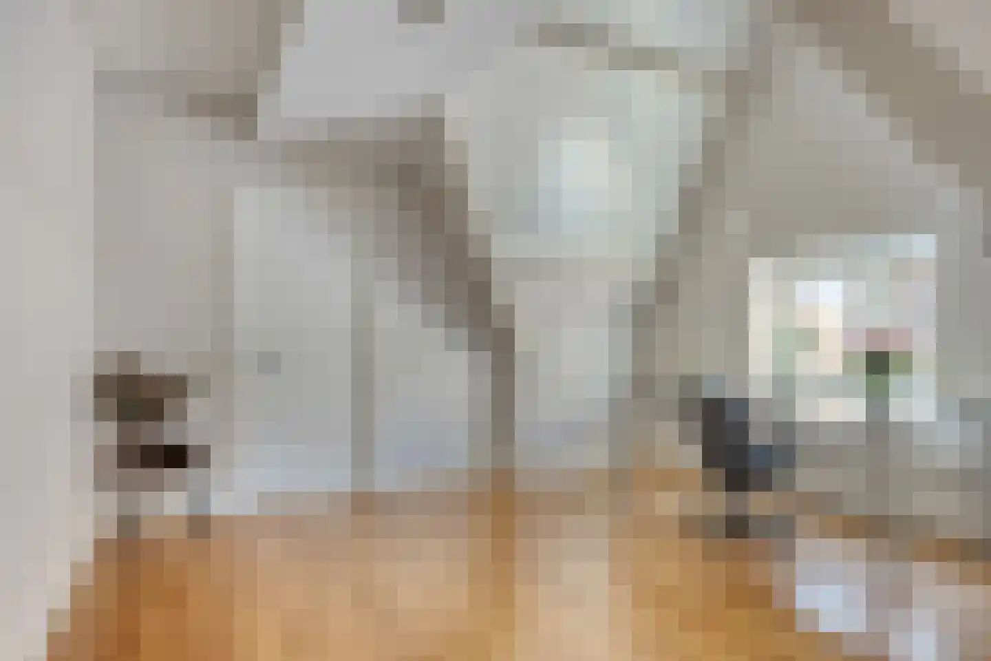 Kromstraat 34 Oss thumbnail 27