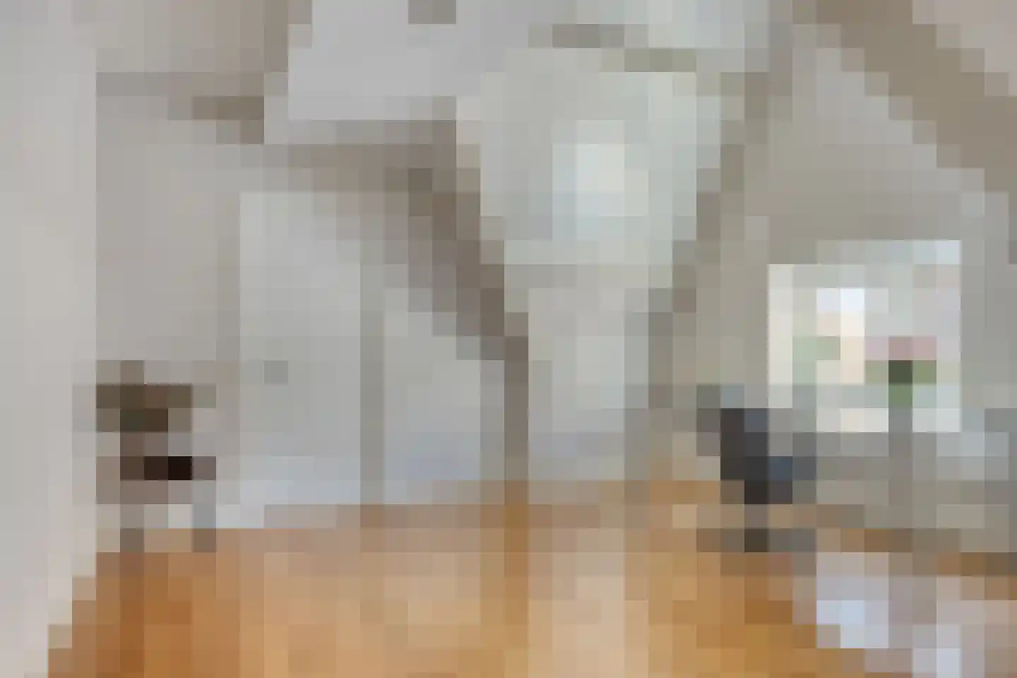 Kromstraat 34 Oss thumbnail 29