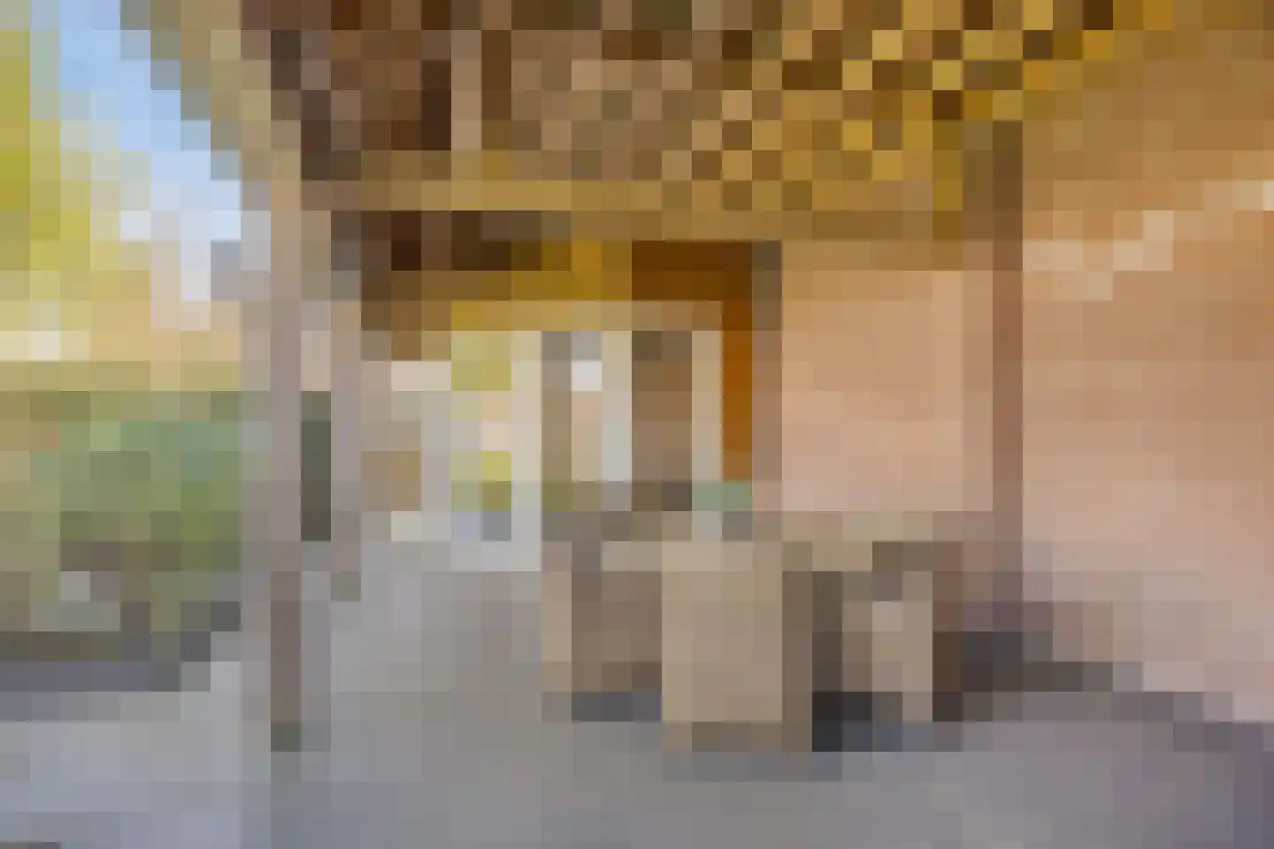 Kromstraat 34 Oss thumbnail 36