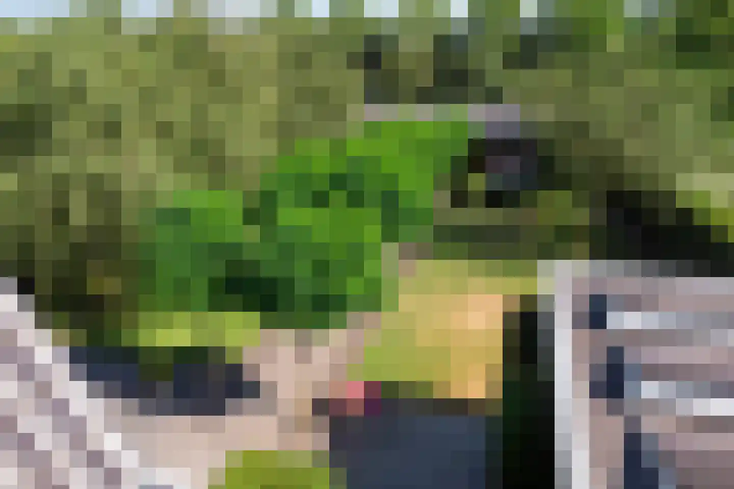 Kromstraat 34 Oss thumbnail 39