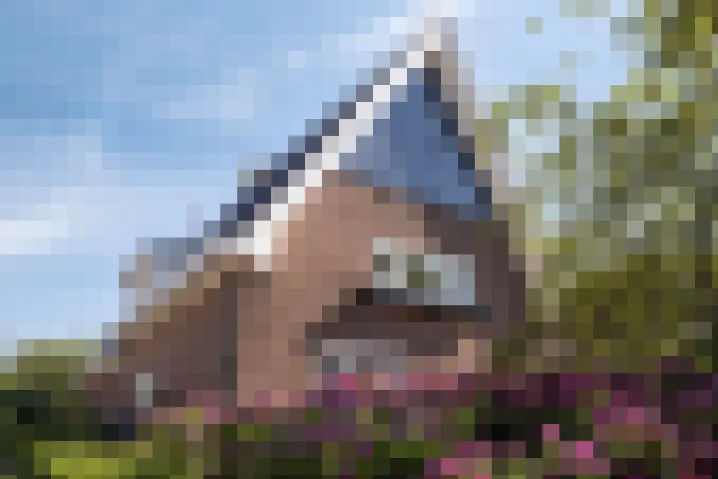 Kromstraat 34 Oss thumbnail 4