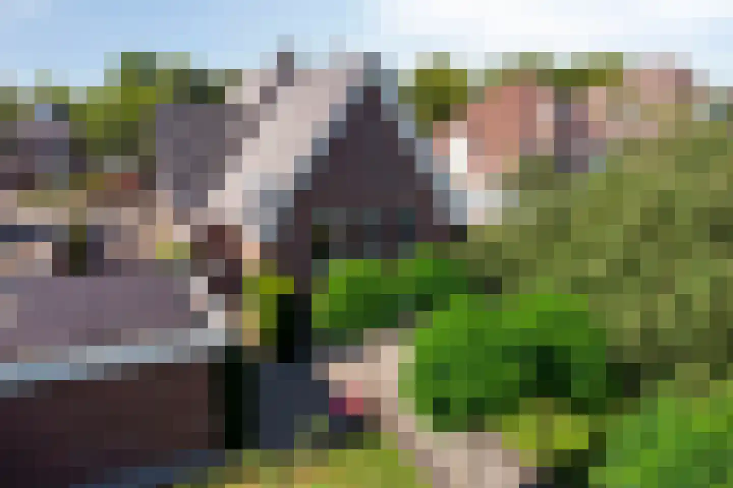 Kromstraat 34 Oss thumbnail 50