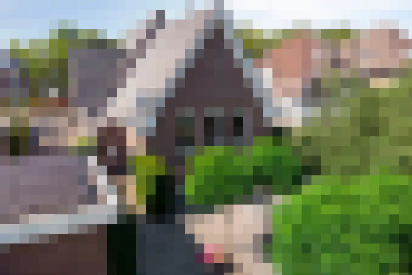 Kromstraat 34 Oss thumbnail 61