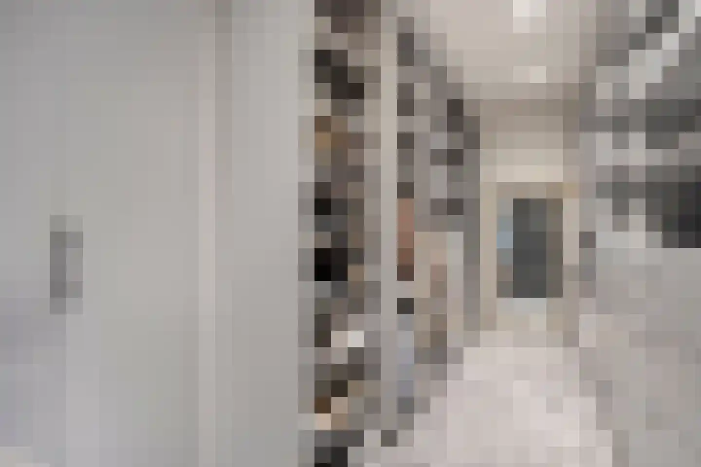 Kromstraat 4 A Oss thumbnail 37
