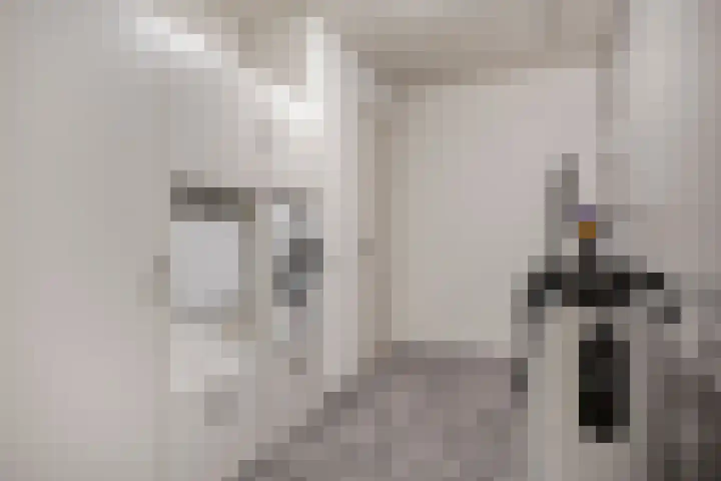 Kromstraat 4 A Oss thumbnail 38