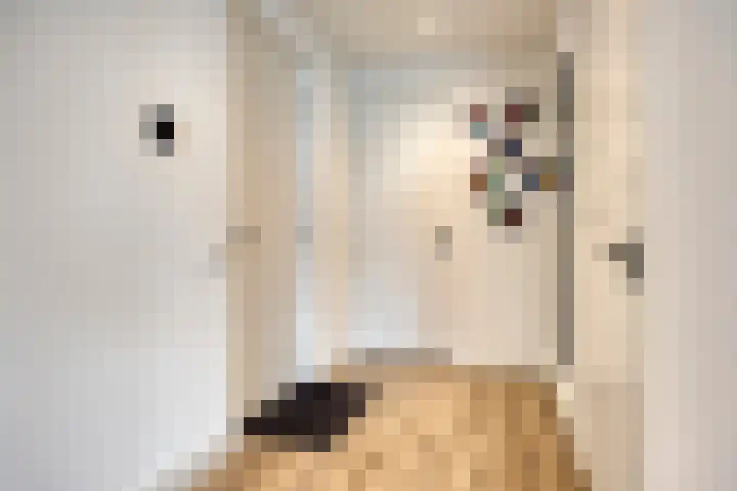 Kromstraat 4 A Oss thumbnail 7