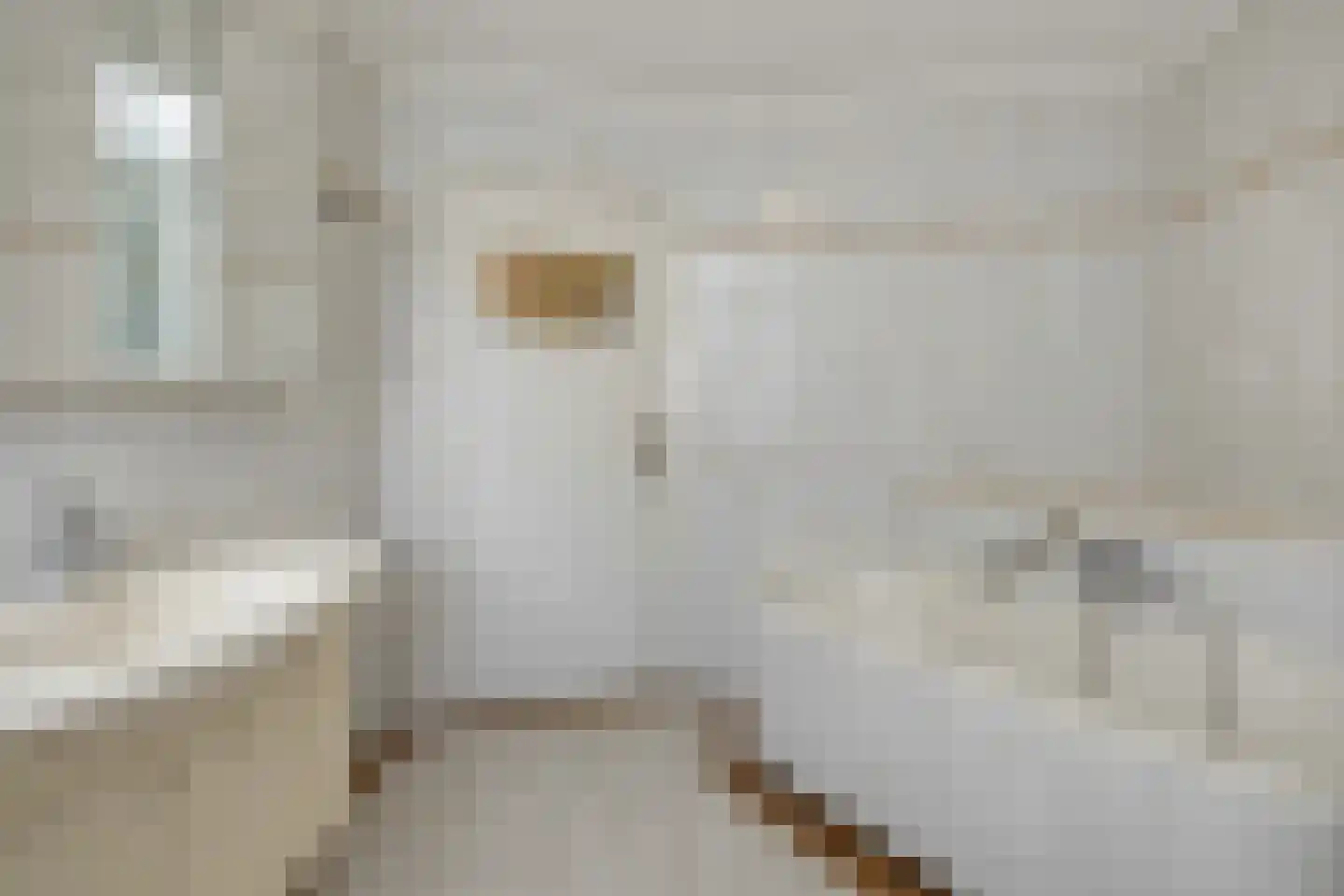 Kromstraat 4 Nistelrode thumbnail 35