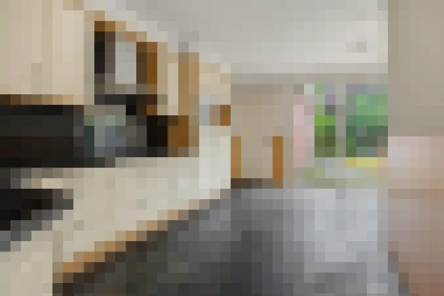 Kromstraat 4 Nistelrode thumbnail 7