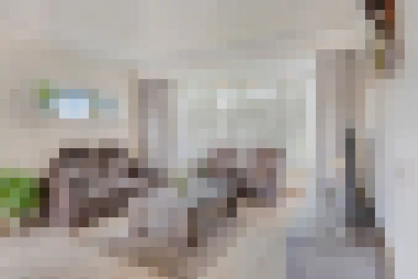 Kromstraat 40 Nistelrode thumbnail 16