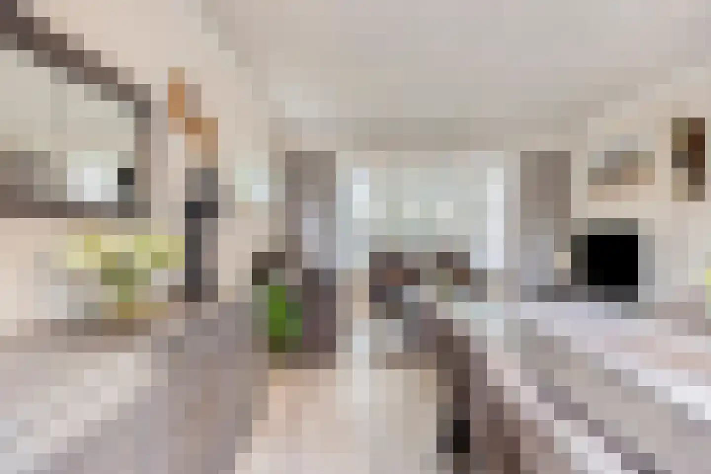 Kromstraat 40 Nistelrode thumbnail 22